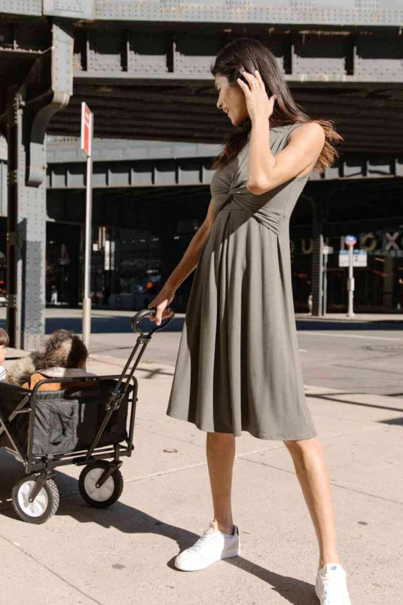 Simple Wishes Debra Maternity & Nursing Dress