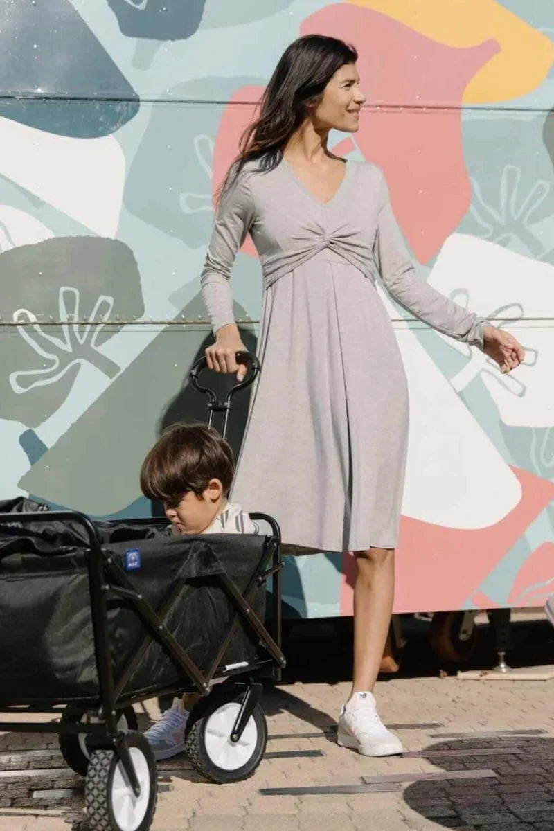 Simple Wishes Sofia Maternity & Nursing Dress