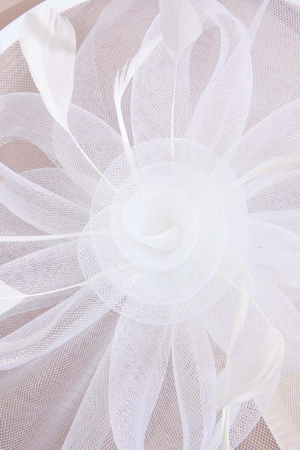 Cato Fashions White Feather Rose Mesh Veil Fascinator