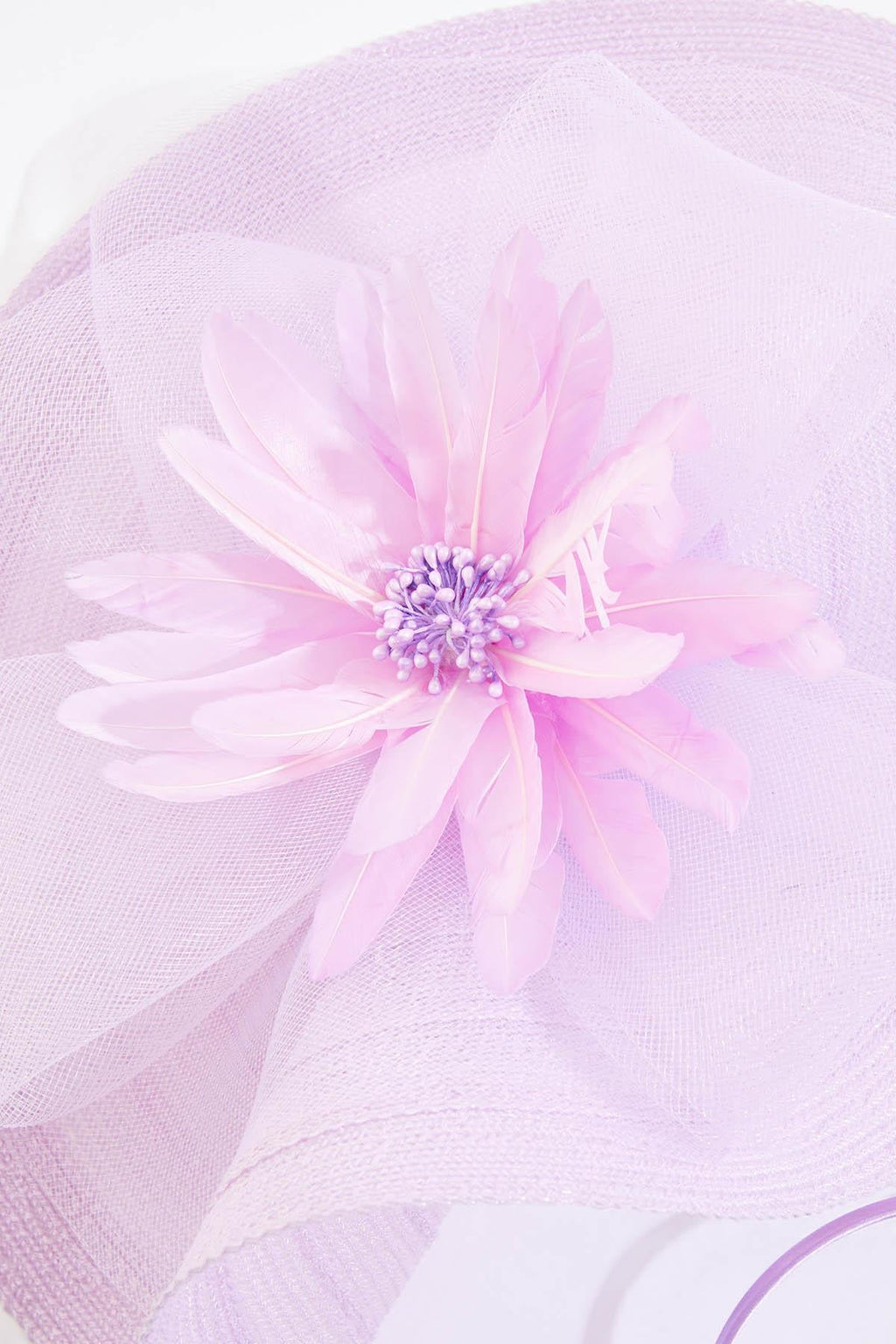 Cato Fashions Oversized Lavender Floral Fascinator