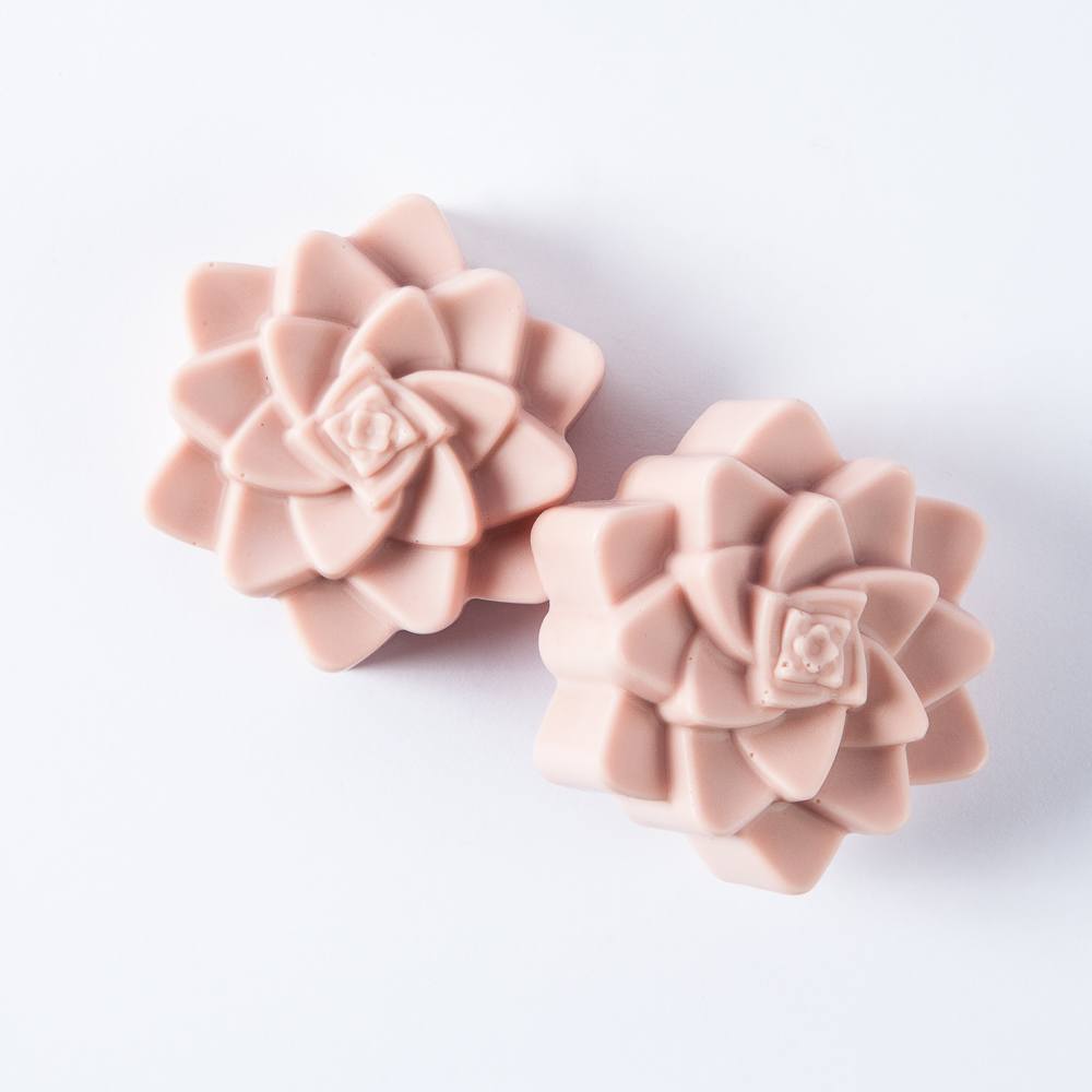 Bramble Berry 2 Cavity Silicone Succulent Mold