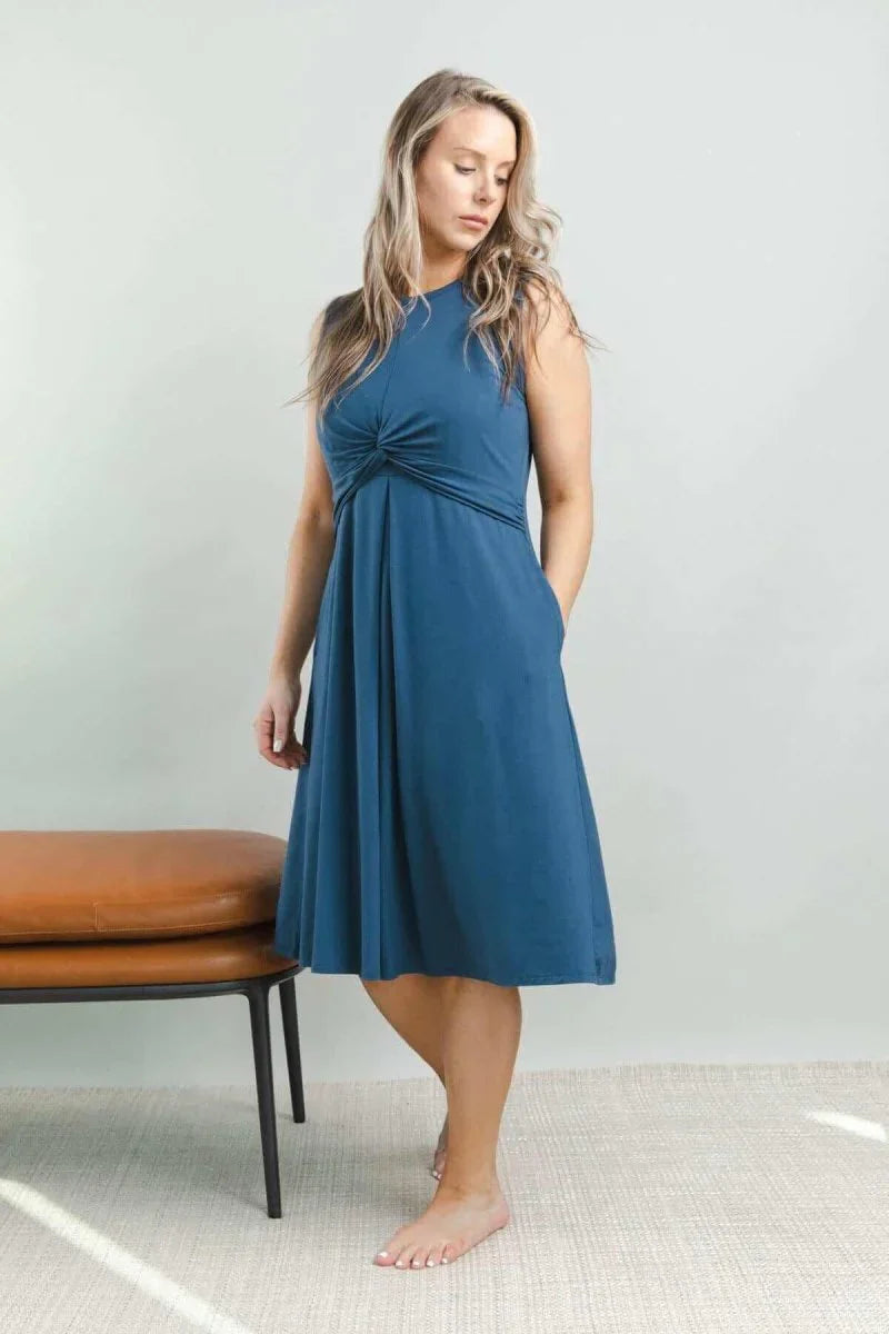 Simple Wishes Debra Maternity & Nursing Dress