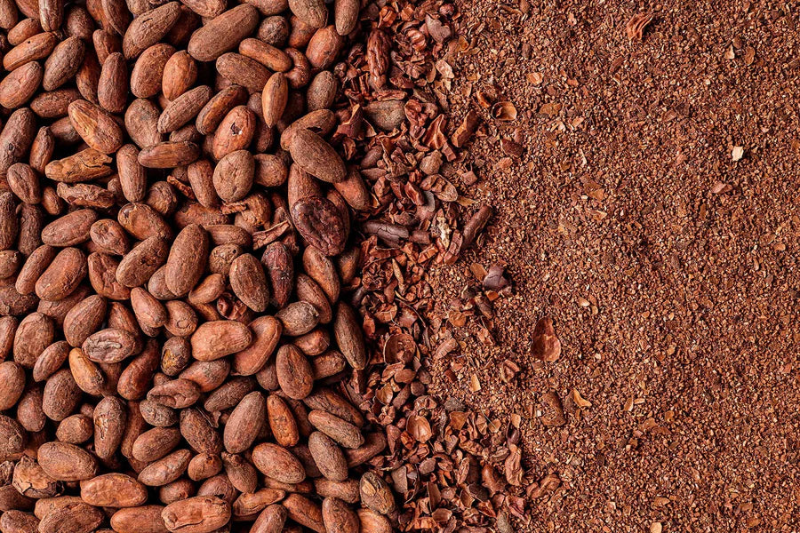 Crio Bru NEW! Limited Edition Chocolate Coconut Light Roast