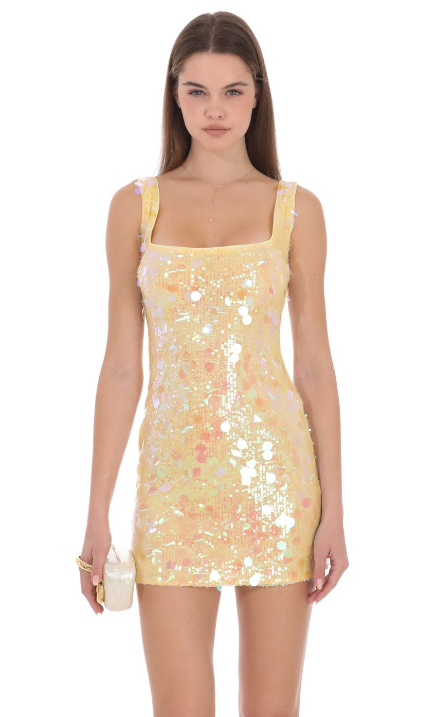 Lucy In The Sky Amelie Mini Dress