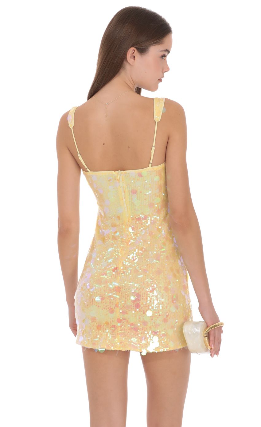 Lucy In The Sky Amelie Mini Dress