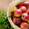 Bramble Berry Apple Sage Fragrance Oil