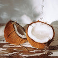 Bramble Berry Coconut Paradise Fragrance Oil