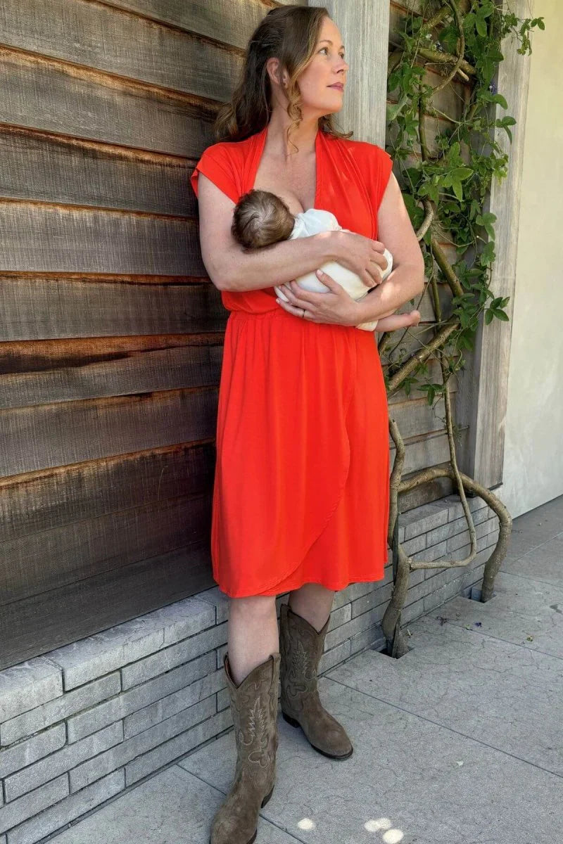 Simple Wishes Harper Maternity & Nursing Dress