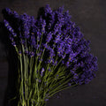 Bramble Berry Black Amber And Lavender Fragrance Oil