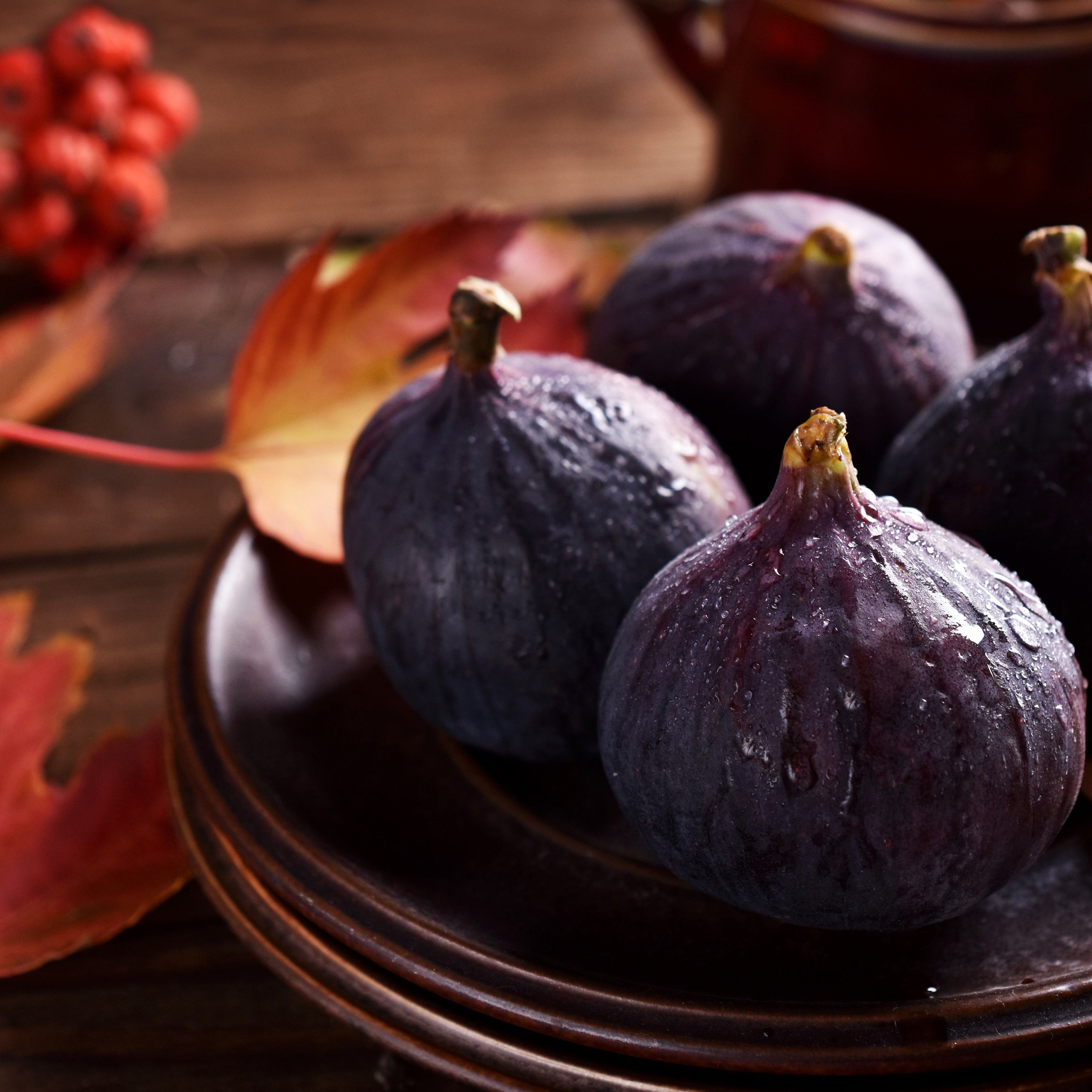 Bramble Berry Autumn Fig Harvest Fragrance Oil