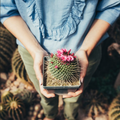 Bramble Berry Cactus Flower Fragrance Oil