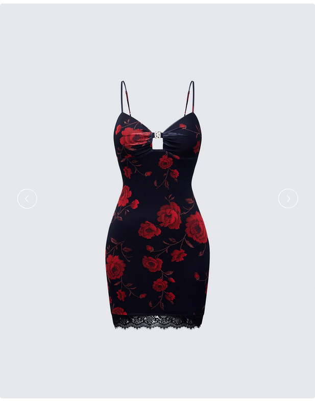 Finesse Thalla Multi Printed Mesh Mini Dress