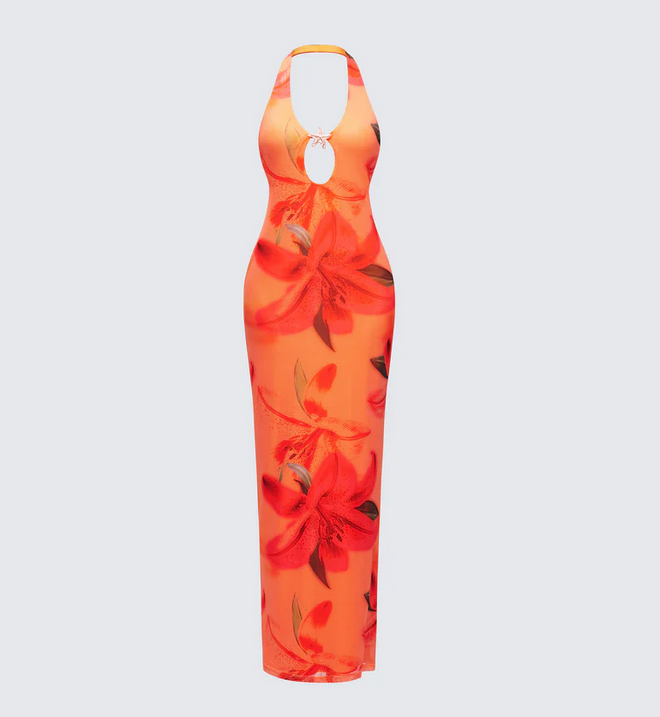 Finesse Evana Multi Printed Mesh Maxi Dress