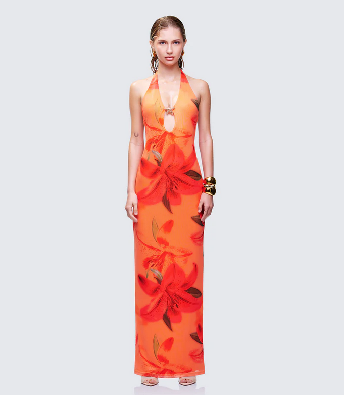 Finesse Evana Multi Printed Mesh Maxi Dress