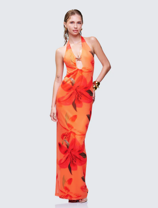 Finesse Evana Multi Printed Mesh Maxi Dress