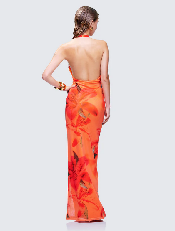 Finesse Evana Multi Printed Mesh Maxi Dress