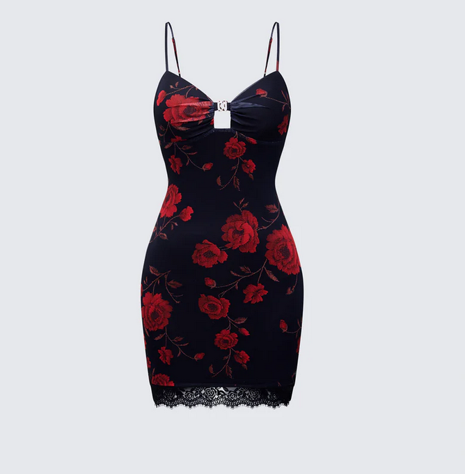 Finesse Thalla Multi Printed Mesh Mini Dress