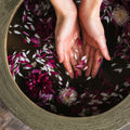 Bramble Berry Serenity Fragrance Oil