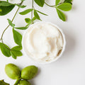 Bramble Berry Shea Butter - 1 lb (x4)