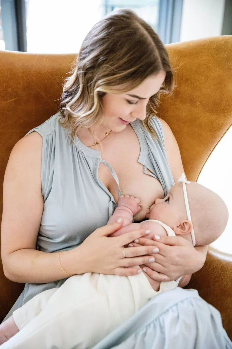 Simple Wishes Willow Nursing Dress