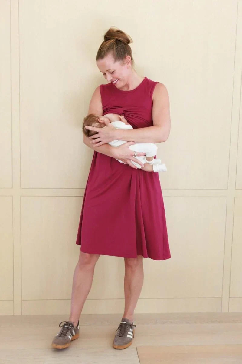 Simple Wishes Debra Maternity & Nursing Dress