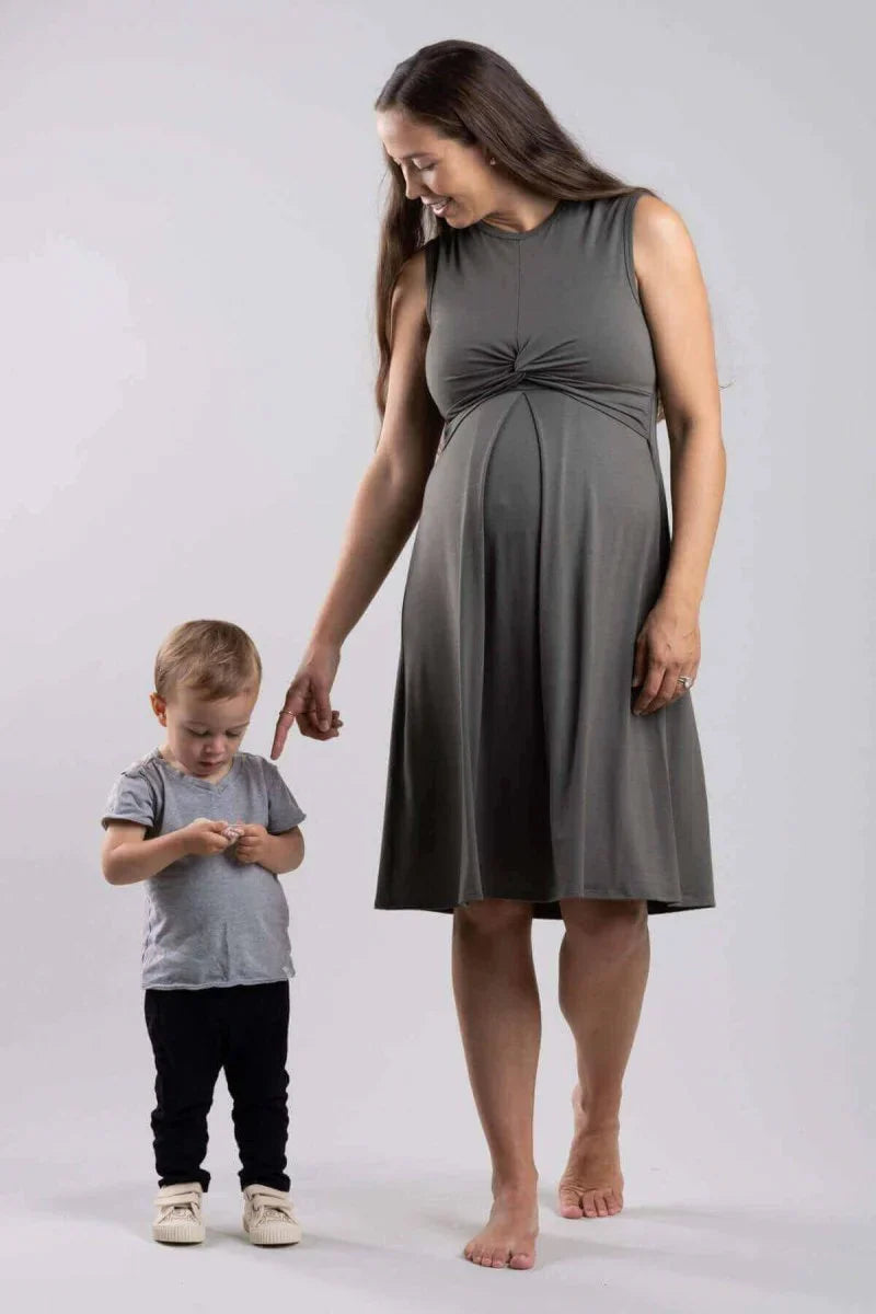 Simple Wishes Debra Maternity & Nursing Dress