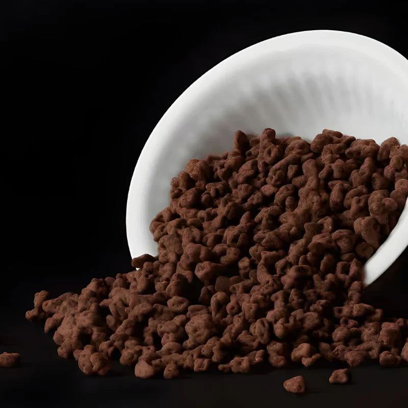 Dandelion Chocolate Chocolate-Covered Cocoa Nibs
