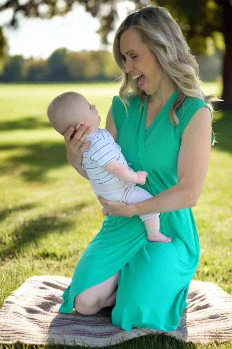 Simple Wishes Harper Maternity & Nursing Dress