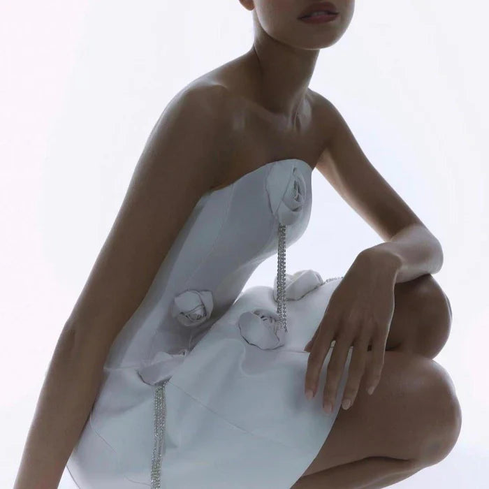 *Main Character Floral Appliques Mini Dress