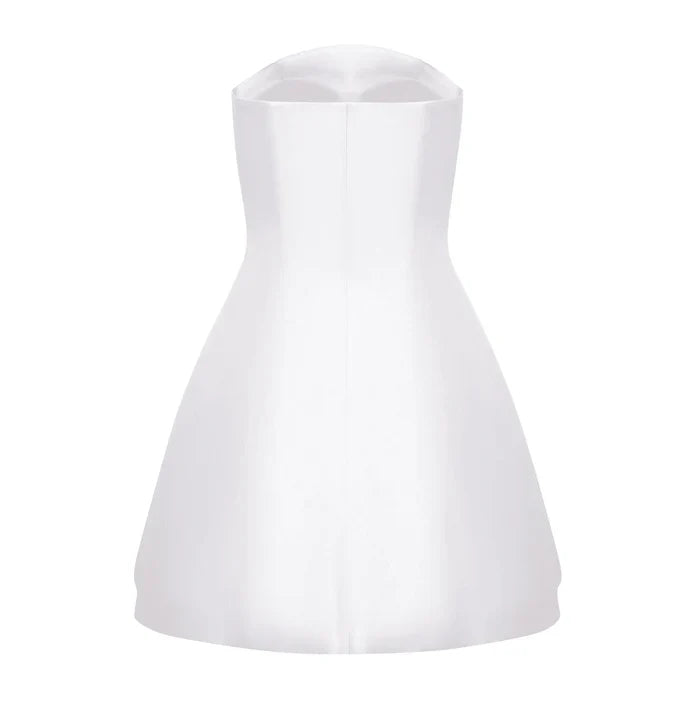 *Main Character Floral Appliques Mini Dress