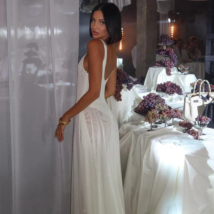 *Tea Party Mesh Maxi Dress